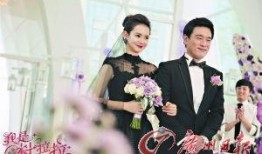 我是杜拉拉在线观看,职场女强人的奋斗历程