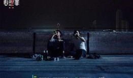 心理罪2在线观看免费,揭秘犯罪心理的惊悚之旅