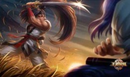 宫本武藏皮肤最新爆料,宫本武藏皮肤全新爆料，神秘剑客再战江湖