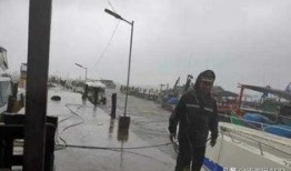 柬埔寨西港最新爆料视频,视频揭秘项目进展与挑战