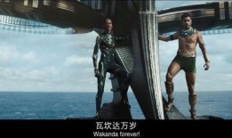 黑豹在线观看66,在线观影之旅，66分钟见证传奇