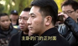 林生斌哥哥再爆料最新,揭开事件背后惊人真相！”