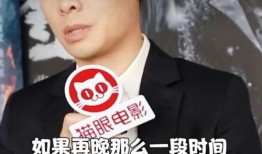 张译最新爆料电影有哪些,揭秘即将上映的精彩电影