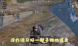 吃鸡爆料视频发现秘密