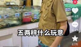 辛吉飞爆料毛蛋视频,揭秘食品行业惊人真相