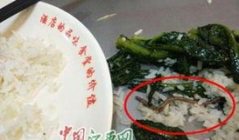 南昌饭菜爆料事件视频,揭露后厨黑幕，食品安全引关注