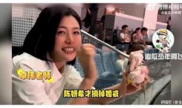 陈大锤爆料全集视频,揭秘背后惊人真相