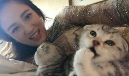 主播爆料里的猫爸爸是娱乐圈的谁,娱乐圈神秘人物竟是...