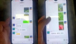 吃瓜明星的群微信免费,免费福利背后的秘密