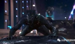 黑豹在线观看66,在线观影之旅，66分钟见证传奇