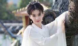 赵樱子被爆料视频下载,真相与争议