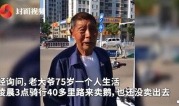 雷子爆料老乔视频全集,老乔视频全集深度解析