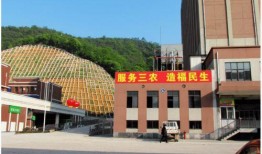 鹤山市爆料新闻事件处理结果,正义得以伸张