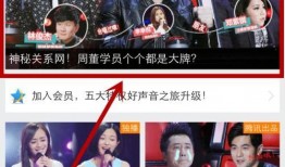 爆料中国好声音帝师视频,内幕曝光，真相令人震惊