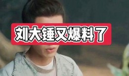 陈大锤爆料全集视频,揭秘背后惊人真相