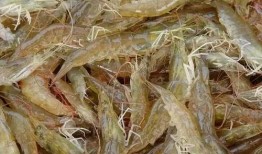 南美大虾爆料视频下载,视频爆料背后的产业真相