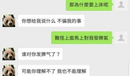 吃瓜网红聊天记录免费,一场娱乐圈幕后风波的幕后真相