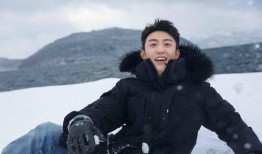 圈内爆料张婧仪黄景瑜视频,甜蜜瞬间引网友热议