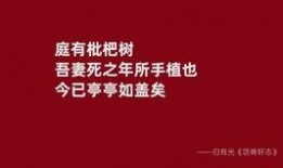 爆款视频爆料文案短句怎么写,揭秘爆款视频文案短句创作秘诀