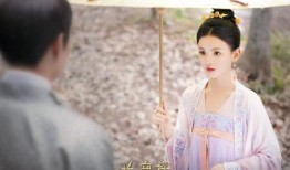 赵樱子被爆料视频下载,真相与争议