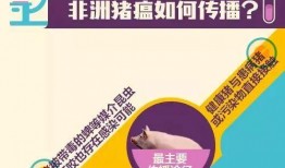 猪瘟最新爆料新闻联播,猪瘟疫情进展及防控措施详解